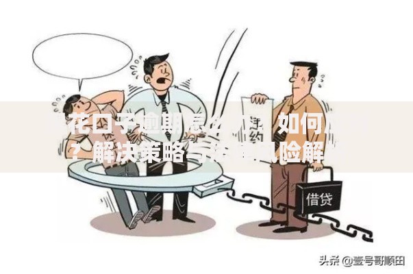 黑花口子逾期怎么办？如何应对？解决策略与法律风险解析