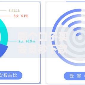 哪个口子买会员秒下款？解析会员通道高效借贷逻辑