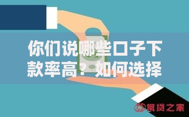你们说哪些口子下款率高？如何选择高通过率平台
