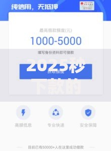 2025秒下款的口子如何实现极速放款？