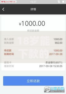 18岁能下款的贷款口子如何选择安全渠道