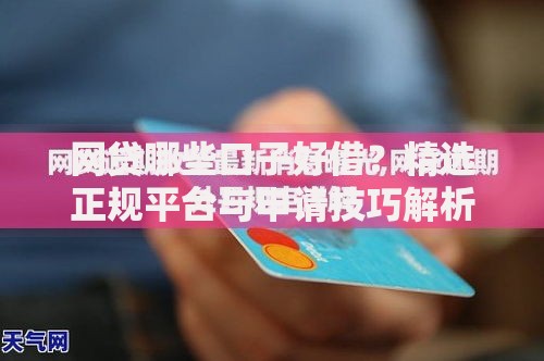 网贷哪些口子好借？精选正规平台与申请技巧解析