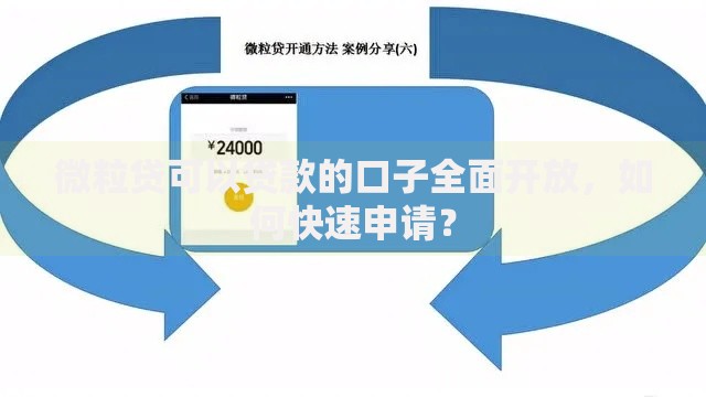 微粒贷可以贷款的口子全面开放，如何快速申请？