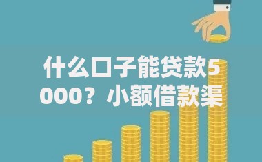 什么口子能贷款5000？小额借款渠道深度解析