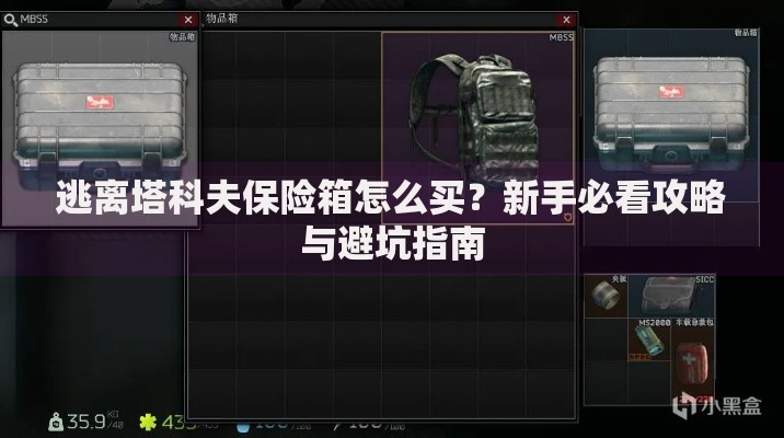 逃离塔科夫保险箱怎么买？新手必看攻略与避坑指南