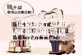 征信黑户逾期严重哪里可以借到钱真实渠道解析