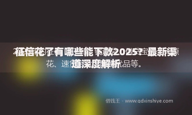 征信花了有哪些能下款2025？最新渠道深度解析