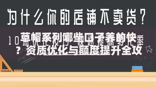 草帽系列哪些口子养的快？资质优化与额度提升全攻略