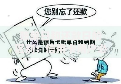 账单日和还款日的区别：信用卡用户必看的避坑指南