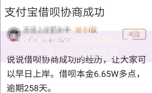 放心借怎么协商延期还款？条件与流程详解