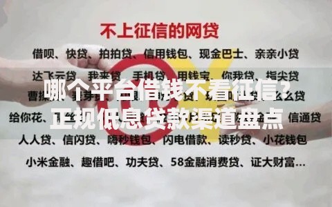 哪个平台借钱不看征信？正规低息贷款渠道盘点