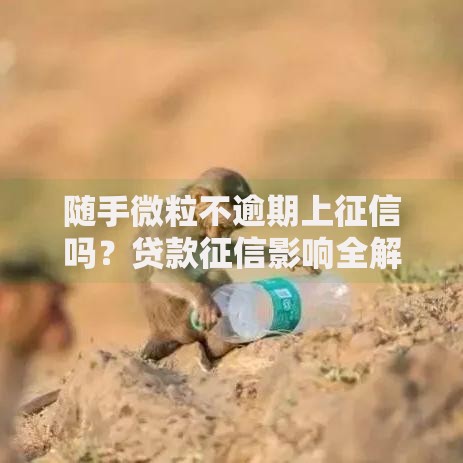 随手微粒不逾期上征信吗？贷款征信影响全解析