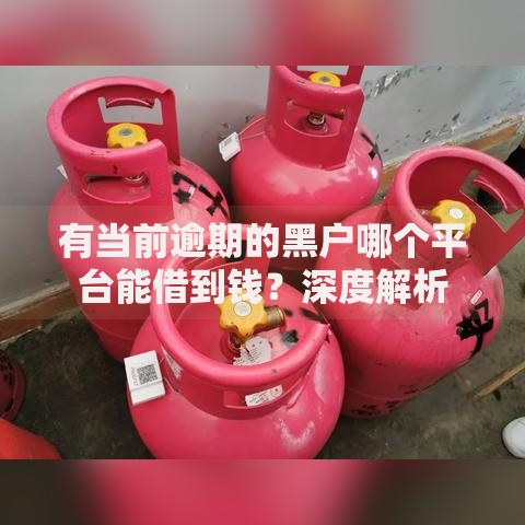 有当前逾期的黑户哪个平台能借到钱？深度解析