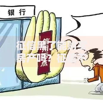 征信黑了能购买房产吗？征信不良人群购房全解析
