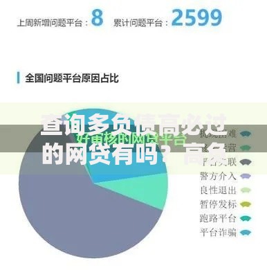 查询多负债高必过的网贷有吗？高负债人群网贷申请条件与审核流程解析