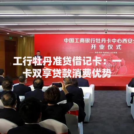 工行牡丹准贷借记卡：一卡双享贷款消费优势