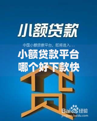小额贷款平台哪个好下款快？权威解析高效借贷渠道