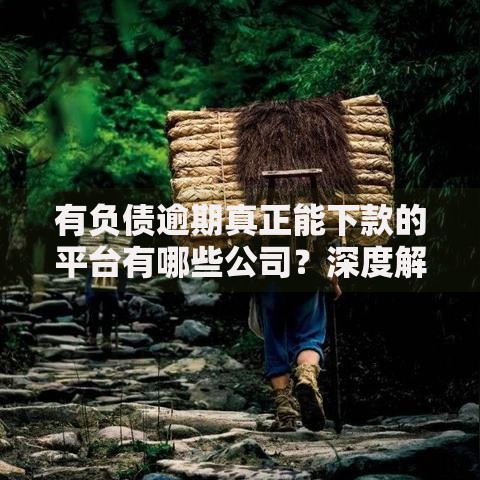 有负债逾期真正能下款的平台有哪些公司？深度解析合规渠道