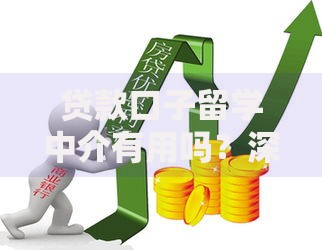 贷款口子留学中介有用吗？深度解析中介服务价值与风险