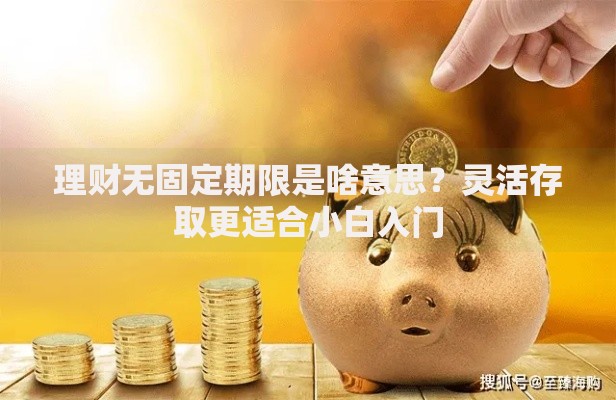 理财无固定期限是啥意思？灵活存取更适合小白入门