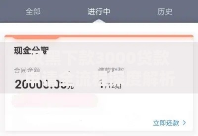 双黑下款3000贷款申请全流程深度解析