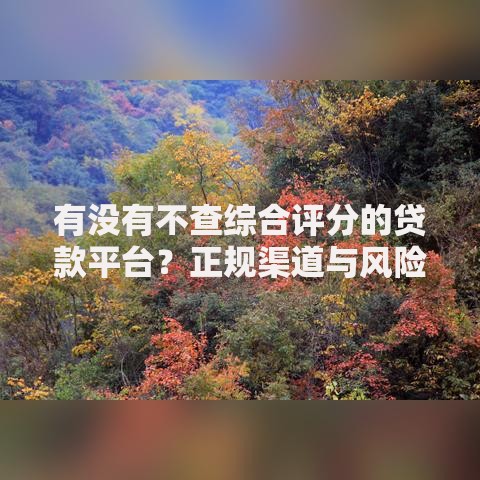 有没有不查综合评分的贷款平台？正规渠道与风险解析