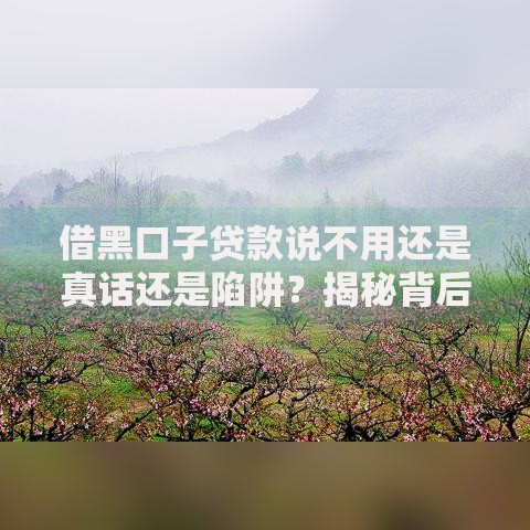 借黑口子贷款说不用还是真话还是陷阱？揭秘背后风险与真相