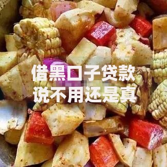 借黑口子贷款说不用还是真话还是陷阱？揭秘背后风险与真相