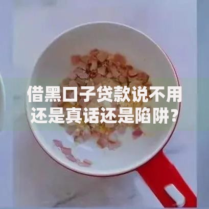借黑口子贷款说不用还是真话还是陷阱？揭秘背后风险与真相