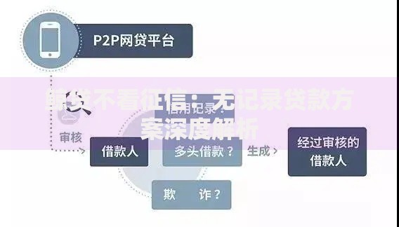 鲸贷不看征信：无记录贷款方案深度解析