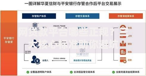 网贷款平台哪些正规？三大核心标准助你避坑
