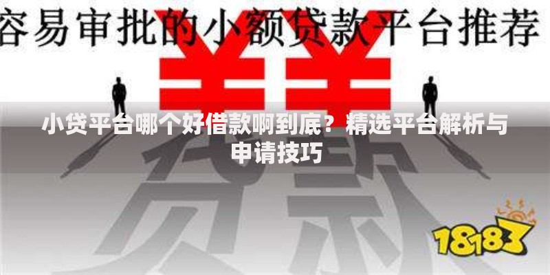 小贷平台哪个好借款啊到底？精选平台解析与申请技巧