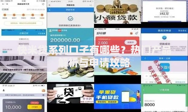 快米贷系列口子有哪些？热门产品解析与申请攻略