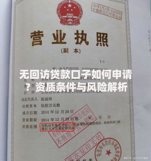 无回访贷款口子如何申请？资质条件与风险解析