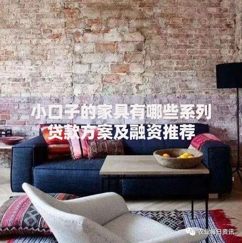 小口子的家具有哪些系列贷款方案及融资推荐