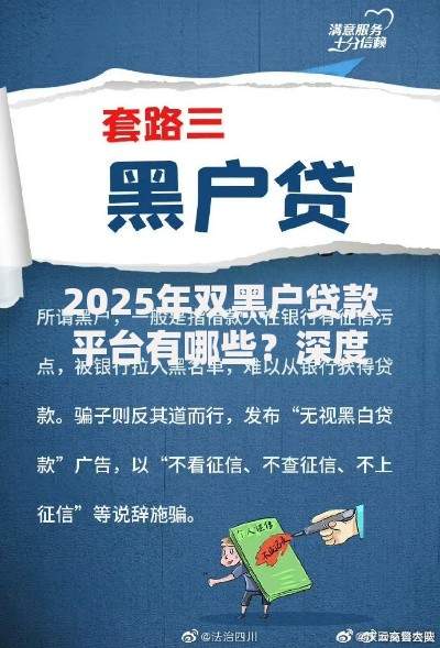 2025年双黑户贷款平台有哪些？深度解析准入条件