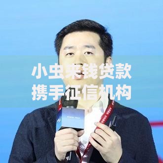 小虫来钱贷款携手征信机构如何优化贷款审核流程？
