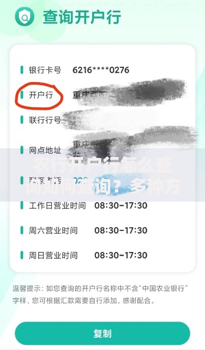农行开户行怎么查询如何查询？多种方法教你快速搞定