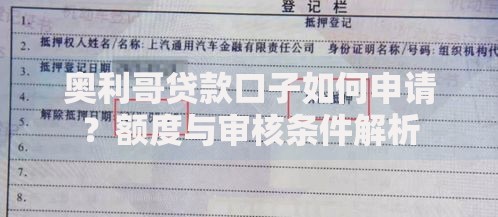 奥利哥贷款口子如何申请？额度与审核条件解析