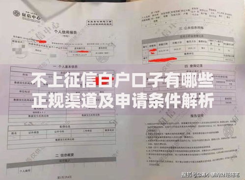 不上征信白户口子有哪些正规渠道及申请条件解析