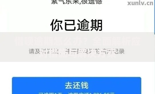 借呗逾期怎么办？全面解析应对措施与解决方案