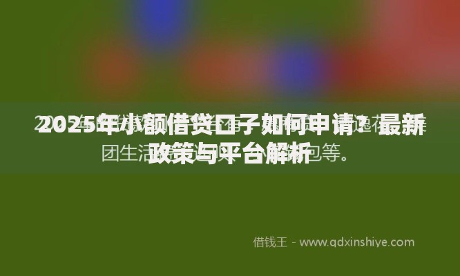 2025年小额借贷口子如何申请？最新政策与平台解析