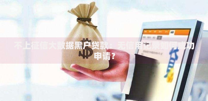 不上征信大数据黑户贷款：无信用记录如何成功申请？