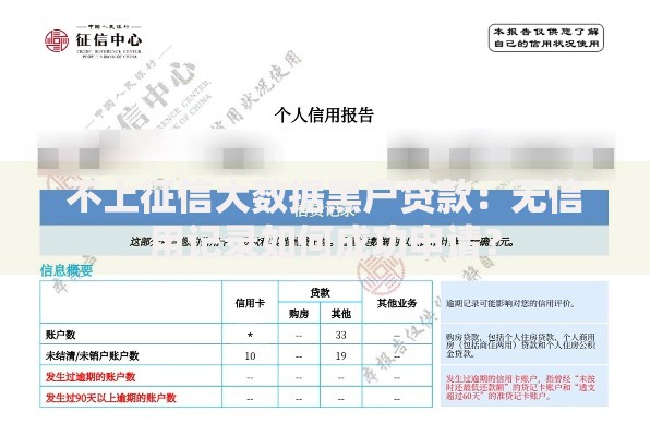 不上征信大数据黑户贷款：无信用记录如何成功申请？