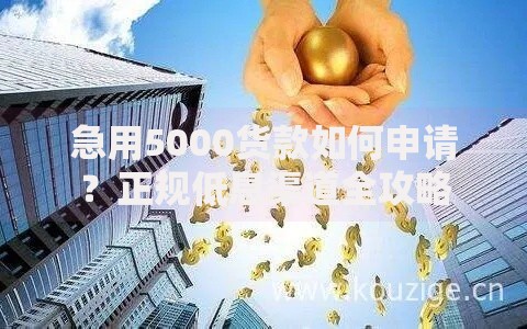 急用5000货款如何申请？正规低息渠道全攻略