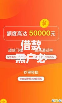 借款黑户必下款？真实渠道与风险规避全解析