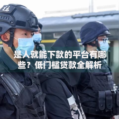 是人就能下款的平台有哪些？低门槛贷款全解析