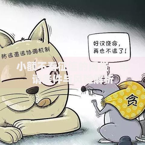 小额不看征信的网贷：申请条件与风险解析