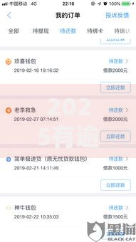 2025有逾期也能下款的口子最新解析与合规渠道盘点