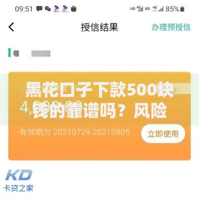 黑花口子下款500块钱的靠谱吗？风险防范与真实案例解析